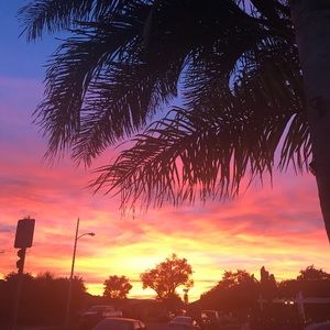 Meet your Posher, Lilly